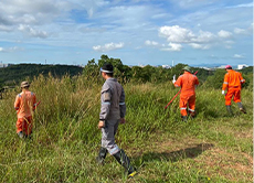 uxo geophysical survey